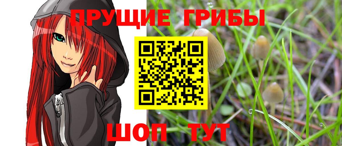 Галлюциногенные грибы Psilocybe  закладка  Можга  Вход с VPN 