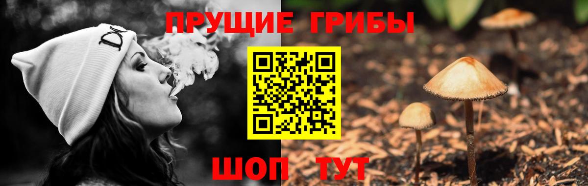 Галлюциногенные грибы GOLDEN TEACHER Можга